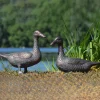 Ducks Aged Bronze Garden Ornaments