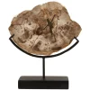 Forest Fusion 50cm Wood Indoor Sculpture