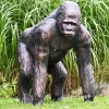 Gorilla Life-Size Bronze Metal Garden Statue