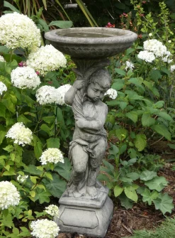 Urchin Design Stone Garden Bird Bath
